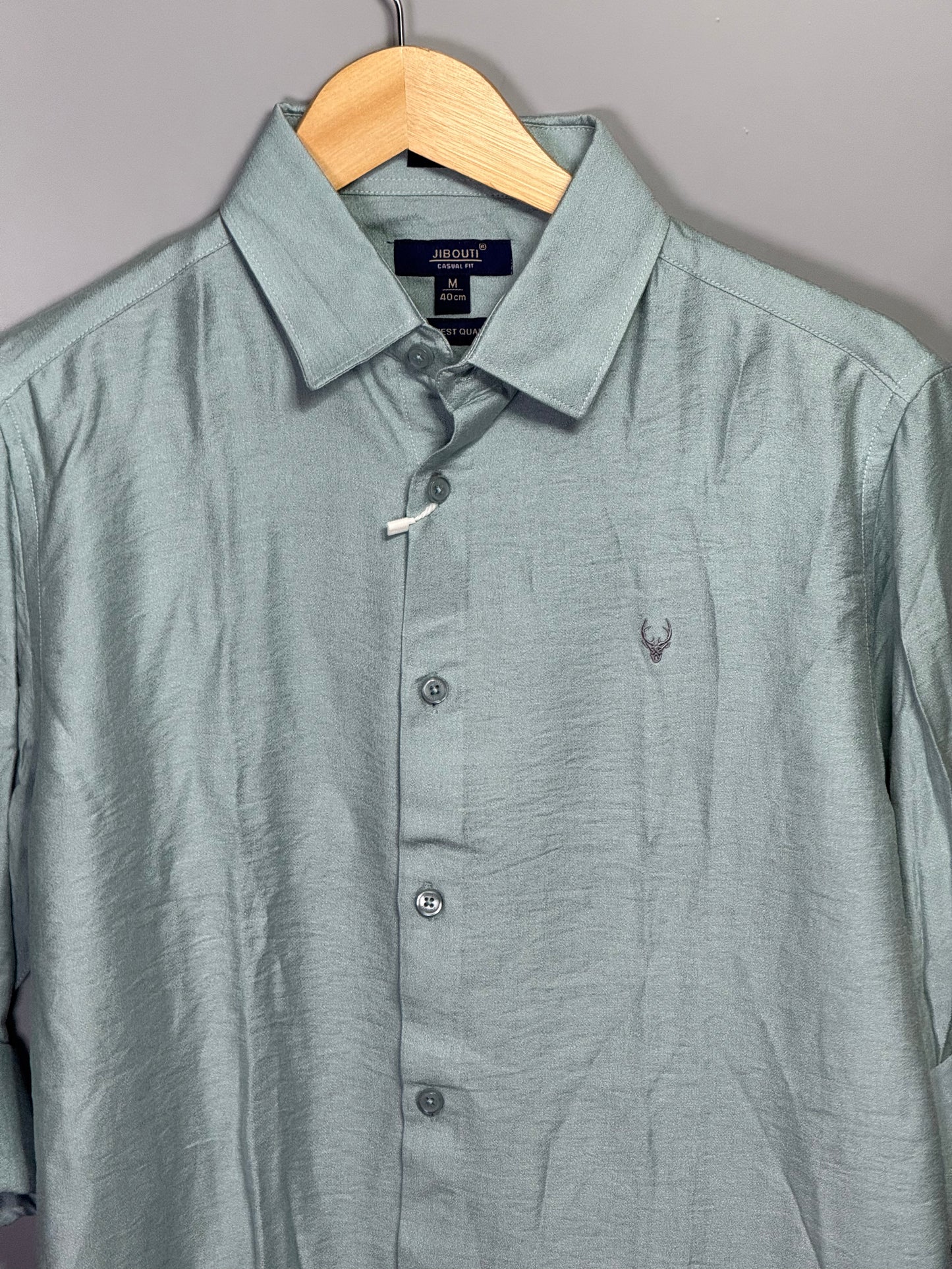 Men's Solid Full sleeve Imported linen Shirt - Light green